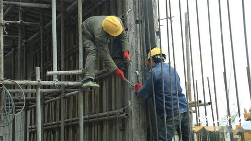 涔天河水庫擴(kuò)建工程道縣灌區(qū)項(xiàng)目 六月通水目標(biāo)穩(wěn)步推進(jìn)