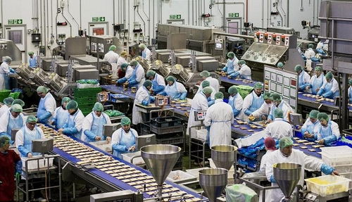 攜手佛山專業(yè)污水處理廠家，為食品廠定制高效化污水凈化工程方案，協(xié)同霧炮車構(gòu)建全方位環(huán)保屏障